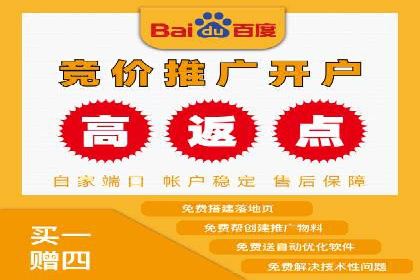 竞价排名成功案例分享